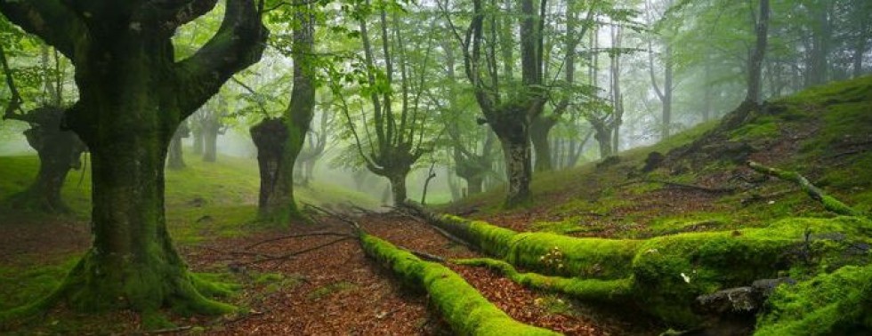 Pays Basque vert et naturel