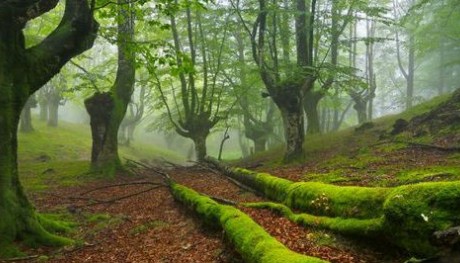 Das grüne und natürliche Basquenland